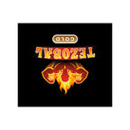 Tezobal Gold Shilajit Capsules | Energy & Stamina Booster | 30 Capsules